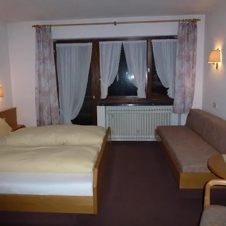 Gasthof-hotel Rebstock 3* Winden im Elztal