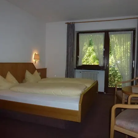 Gasthof-hotel Rebstock Winden im Elztal